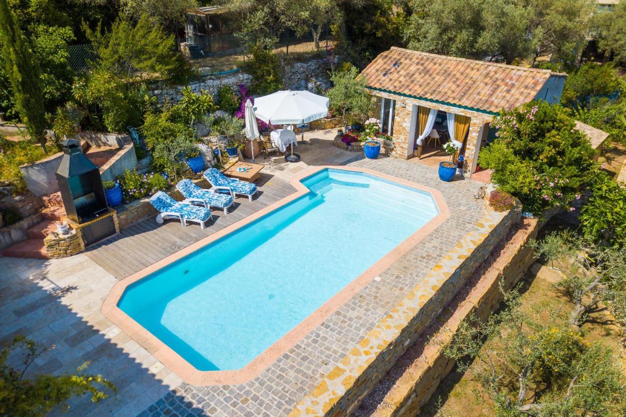 Appartement De Caractere Le Camelia, 56M², Dans Propriete Au Calme Avec Piscine By Le Mas De Louise Et Sacha Solliès-Toucas エクステリア 写真